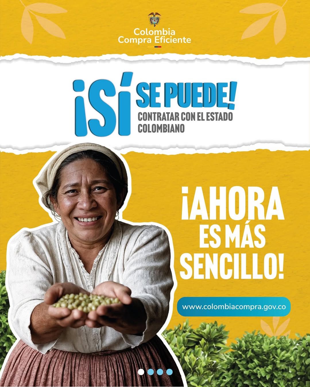 Imagen descriptiva