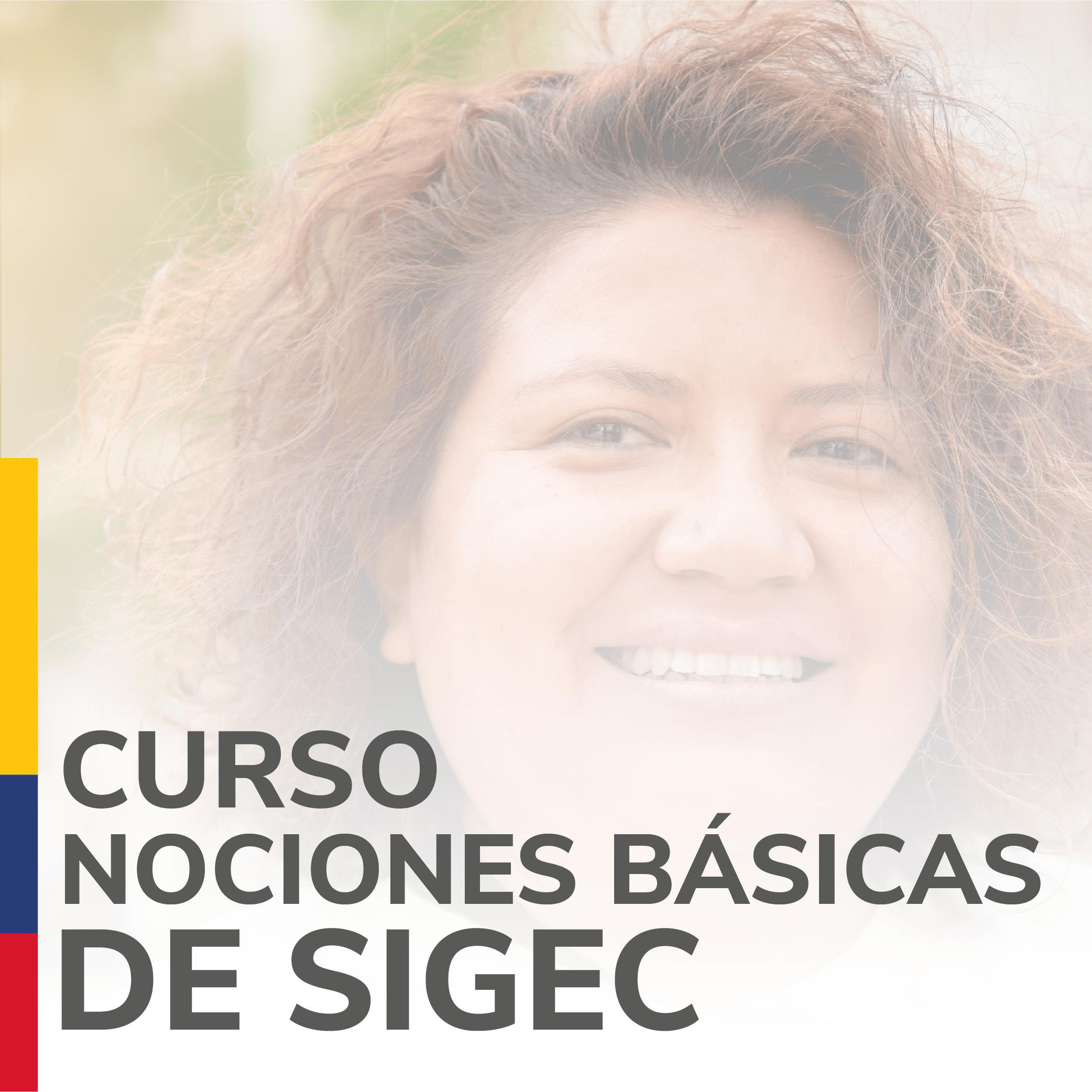 Generalidades básicas del Sistema de Información y Gestión de Estampillas - SIGEC