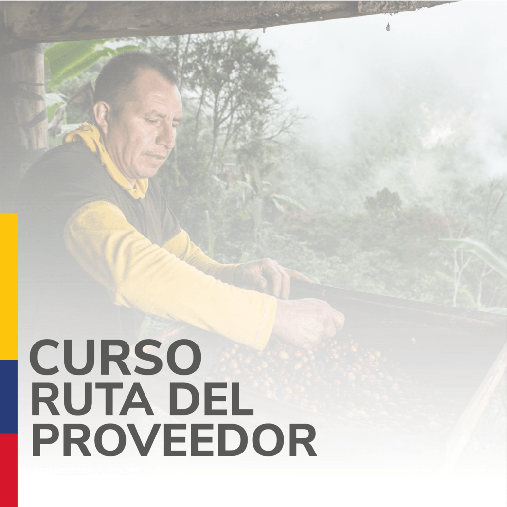 Ruta del proveedor “Aprende a contratar con el Estado” 